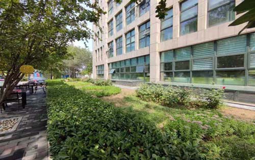 青麦时代实拍图3